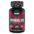 Produktbild: Weider Premium Tribulus Dose mit 90 Kapseln (388,75EUR/1000g)