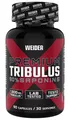 Produktbild: Joe Weider Premium Tribulus, 90 Kapseln