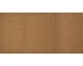 Produktbild: Korkplatte natur 100 x 50 x 0,6 cm