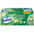 Produktbild: Lotus mouchoirs menthol x15
