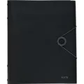 Produktbild: Leitz Ordnungsmappe Solid DIN A4 schwarz 6 Fächer