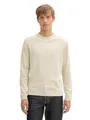 Produktbild: TOM TAILOR Herren Strickpullover mit Crewneck