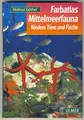Produktbild: Mittelmeerfauna: Niedere Tiere und Fische: Niedere Tiere und Fische. 301 Arten in Wort und Bild