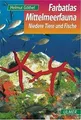 Produktbild: Mittelmeerfauna: Niedere Tiere und Fische: Niedere Tiere... | Buch | Zustand gut
