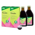 Produktbild: FLORADIX mit Eisen Lösung zum Einnehmen 2x700 ml
