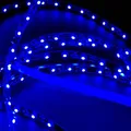 Produktbild: Mextronic 24V LED Streifen 5m LED Strip 3528 Blau 465-470nm 24W 500CM 24V IP20