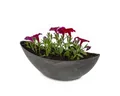 Produktbild: matches21 HOME & HOBBY Blumentopf Große Pflanzschale oval 39 cm für draussen Dekoschale schwarz (1 St), Blumen-Schale als wetterfeste Friedhof-Schale Grab-Schmuck Grabschale