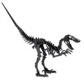 Produktbild: Fridolin 11644 3D-Papiermodell - Velociraptor
