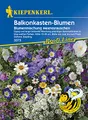 Produktbild: Blumenmischung Balkonkastenblumen Meeresrauschen Blau+Weiss