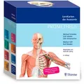 Produktbild: PROMETHEUS Lernkarten der Anatomie, 483Karten