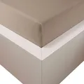 Produktbild: Traumschloss Edel-Jersey Spannbetttuch Premium Plus | Mako Baumwolle mit Lyocell & Elasthan | Bettlaken wärmt im Winter & kühlt im Sommer | hautsympatisch,90-120x200-220,Cappuccino,