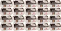 Produktbild: WEISS 20x 200g Weissella Oblaten Lebkuchen Zartbitter 20% Nüsse 4 Kg