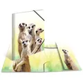 Produktbild: HERMA Eckspannermappe Exotische Tiere A4 Erdmännchentruppe - Bunt