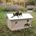 Produktbild: Hummel Hummelhaus Hummelkasten Nistkasten Insektenhaus Haus Insektenhotel Xxl
