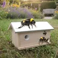 Produktbild: Hummel Hummelhaus Hummelkasten Nistkasten Insektenhaus Haus Insektenhotel Xxl