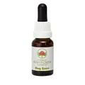 Produktbild: Dog Rose 15ml Stock, Australian Bush Flowers