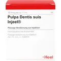 Produktbild: PULPA DENTIS SUIS Injeel Ampullen 10 St