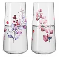 Produktbild: Ritzenhoff Longdrinkglas Ritzenhoff Sommersonett Allround 2er-Set C. Oliveira F23, Kristallglas