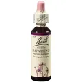 Produktbild: BACHBLÜTEN Impatiens Tropfen 20 ml