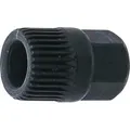 Produktbild: BGS 33-Zahn-Aufsatz | Antrieb Außensechskant | für Art. 4248 | 17 mm