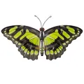 Produktbild: CIM Metall Wand Deko Schmetterling Green Tiger Gelb Wandbild Geschenk Idee 3D