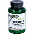 Produktbild: Weihrauch-Extrakt - Boswellia Serrata 65% 400mg, 140 St KAP