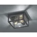 Produktbild: Trio Lighting - Garonne outdoor deckenleuchte doppelte lampe aluminiumguss anthrazit und transparentes glas ip44 24x24cm 601860242