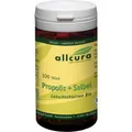 Produktbild: PROPOLIS SALBEI Lutschtabletten Bio 100 St