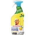 Produktbild: Meister Proper Sprühen-Wischen-Fertig (8700216300520)