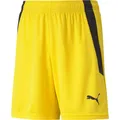 Produktbild: Puma Teamliga Shorts Jr cyber yellow-puma black (07) 152