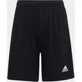 Produktbild: Trainingsshorts ADIDAS PERFORMANCE 