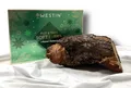 Produktbild: Westin 2025 Put & Take Soft Bait Advent Calendar Adventskalender Forelle SALE