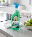Produktbild: MEISTER PROPER Meister Proper Allzweckreiniger Spray Antibakteriell, 800 ml Allzweckreiniger