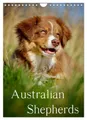 Produktbild: CALVENDO Wandkalender Australian Shepherds (Wandkalender 2026 DIN A4 hoch), CALVENDO Monatsk