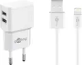 Produktbild: Goobay Apple Lightning Dual Ladeset 2,4 A, Weiß, 1 m - Netzteil mit 2x USB-Buchse und Apple Lightning-Kabel (44979)