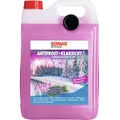 Produktbild: SONAX AntiFrost+KlarSicht Zirbe Gebrauchsfertig bis -20°C (5 Liter) schneller, schlierenfreier & effektiver Scheibenreiniger für den Winter | Art-Nr. 01315000