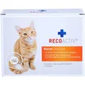 Produktbild: RECOACTIV Nieren Tonicum f.Katzen Kurpackung 270 ml