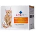 Produktbild: Recoactiv Nieren Tonicum für Katzen Kurpackung 3X90 ml