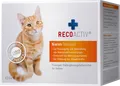 Produktbild: RecoVet GmbH RECOACTIV Nieren Tonicum f.Katzen Kurpackung 3X90 ml 07658300