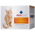 Produktbild: RECOACTIV Nieren Tonicum f.Katzen Kurpackung 3X90 ml