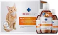 Produktbild: RECOACTIV Nieren Tonicum für Katzen, 3 x 90 ml, bei Anzeichen Einer Nierenfunktionsstörung, in der Rekonvaleszenz und zur Prophylaxe. Hochwertiges Protein, Appetit anregendes Ergänzungsfuttermittel