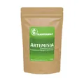 Produktbild: Artemisia annua - aus kontrolliert biologischen Anbau auf Kreta - Premium Tausendkraut Qualität - Labor geprüft - 100g, Pulver