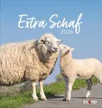 Produktbild: Extra Schaf Postkartenkalender 2026: Ein kleiner Kalender zum Aufstellen und Aufhängen. Süße Schafe in allen Lebenslagen in einem Postkarten-Fotokalender. (Postkartenkalender Eiland)