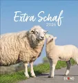 Produktbild: Extra Schaf Postkartenkalender 2026 Eiland Kalender Postkartenkalender Eiland