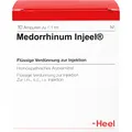 Produktbild: MEDORRHINUM Injeel Ampullen 10 St