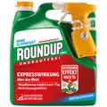 Produktbild: ROUNDUP® Express unkrautfrei 3 Liter für bis zu 100 m² anwendungsfertig