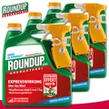 Produktbild: Roundup Unkrautfrei 3 x 3 l Express Sprühsystem Vorteilspackung Brennnessel