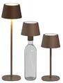 Produktbild: Northpoint 3in1 LED Tischlampe Flaschenleuchte max. 45cm hoch mit 3000mAh Akku 200lm warmweißes Licht (3000K) stufenlos dimmbar für Innen und Außen (taupe)