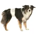 Produktbild: TRIXIE Windeln für erwachsene Hunde 12 Stück L-XL 60-80 cm