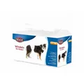 Produktbild: Trixie Dog Diaper Male L - Xl 12 Pcs